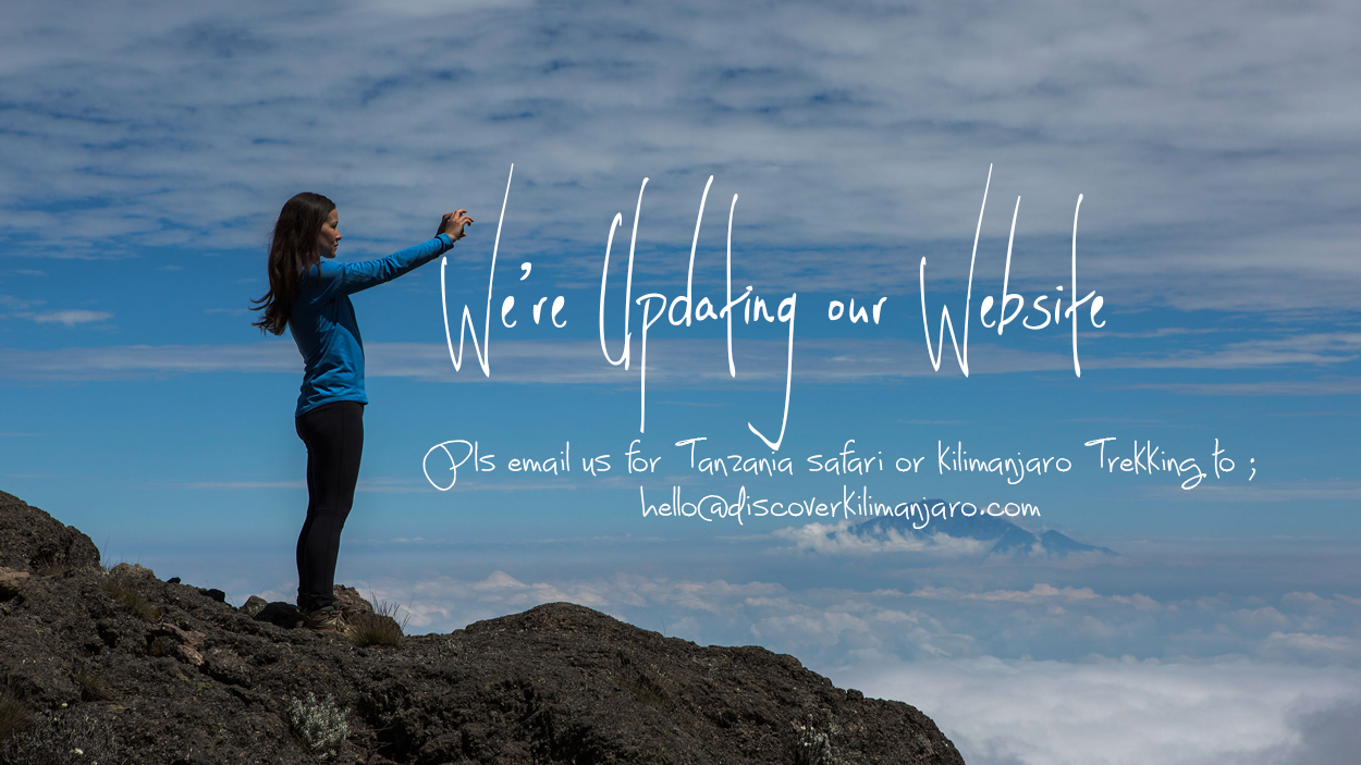 Kilimanjaro trekking